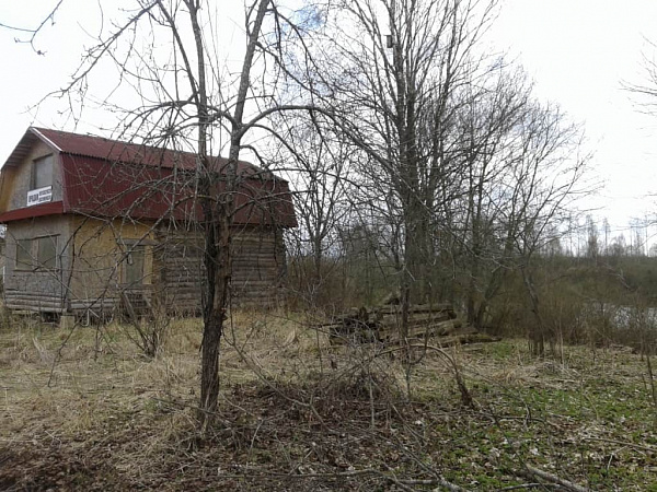 Дом на берегу реки в Псковской обл