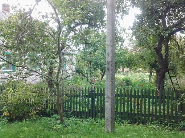 Дом с подсобным хозяйством вблизи Красногородска