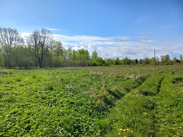 Участок д. Алабышево