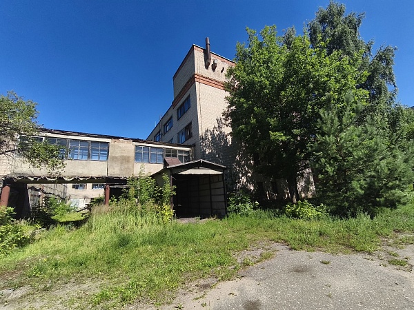 Коммерческие помещения в Невеле в аренду