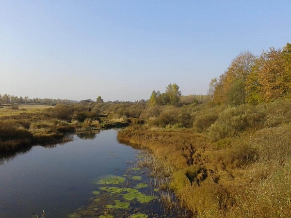 Дом на берегу реки в Псковской обл