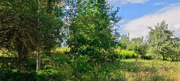 участок 12 соток ЛПХ д. Конечек