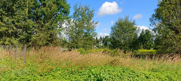 участок 12 соток ЛПХ д. Конечек