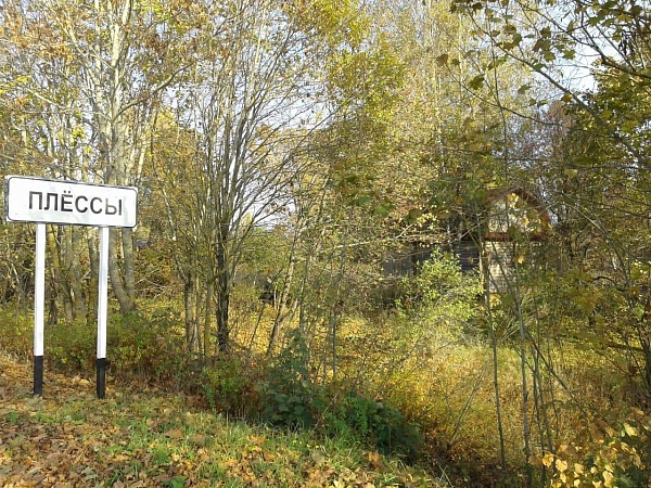 Дом на берегу реки в Псковской обл