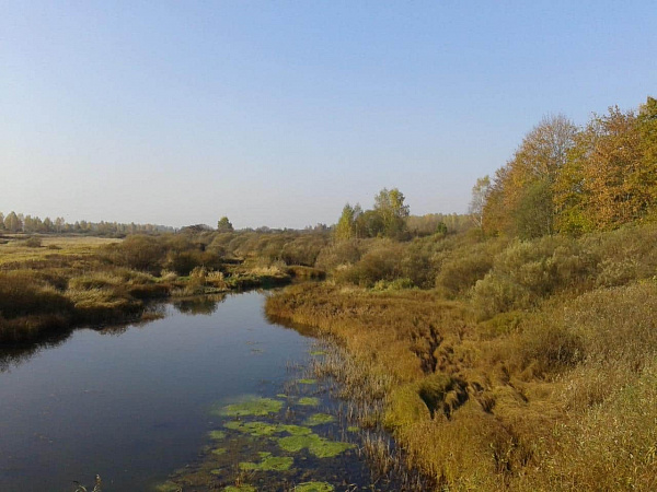 Дом на берегу реки в Псковской обл